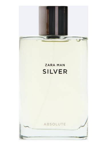 silver absolute zara